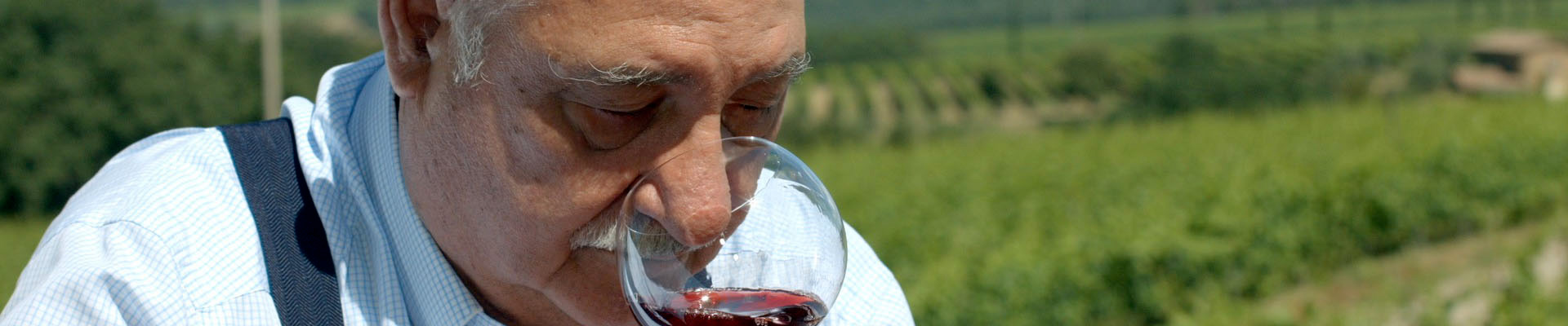 cos'è un grande vino secondo Gianfranco Soldera