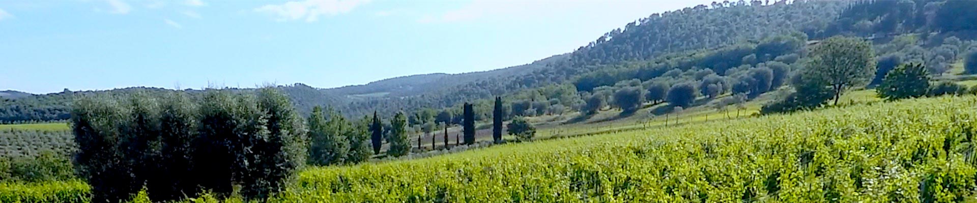 Soldera Case Basse winery